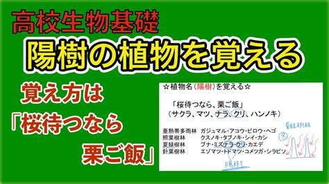 陽樹種類|陽生植物(ヨウセイショクブツ)とは？ 意味や使い方